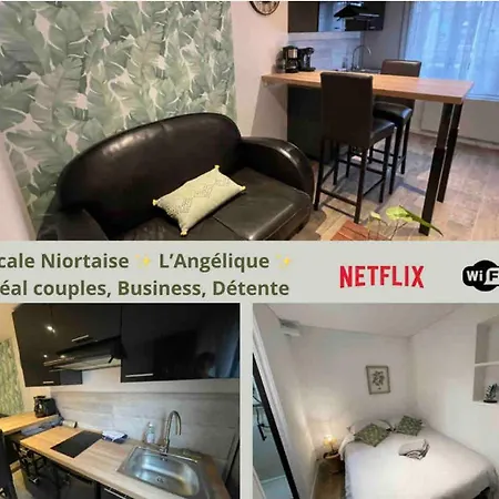 Apartment L'escale Niortaise - L'angelique - 10mn Gare Sncf, 5 Mn Hyper Centre